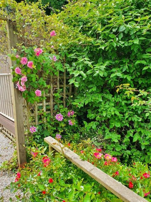 Bijou Coastal Apartment In Polperro With Hot Tub Onsite Parking Downhill Walk To Village מראה חיצוני תמונה